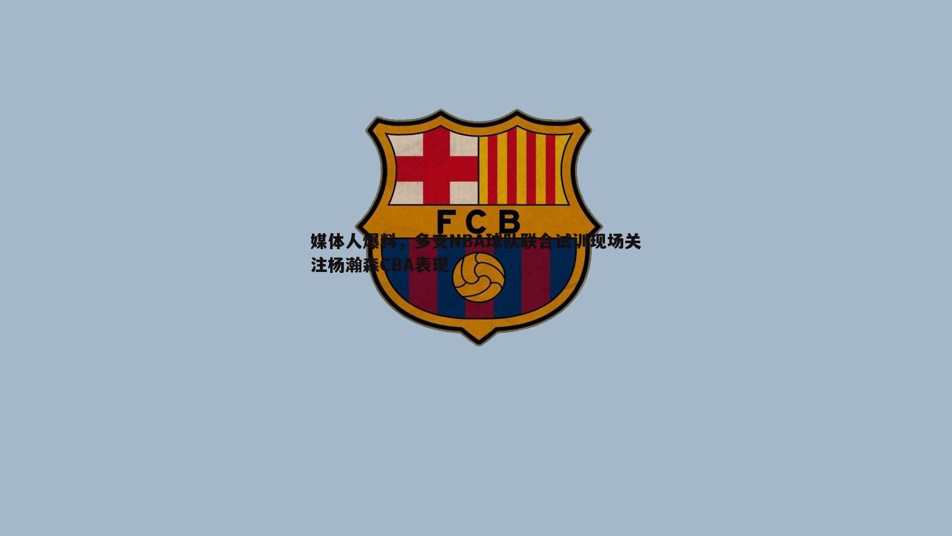 媒体人爆料，多支NBA球队联合试训现场关注杨瀚森CBA表现