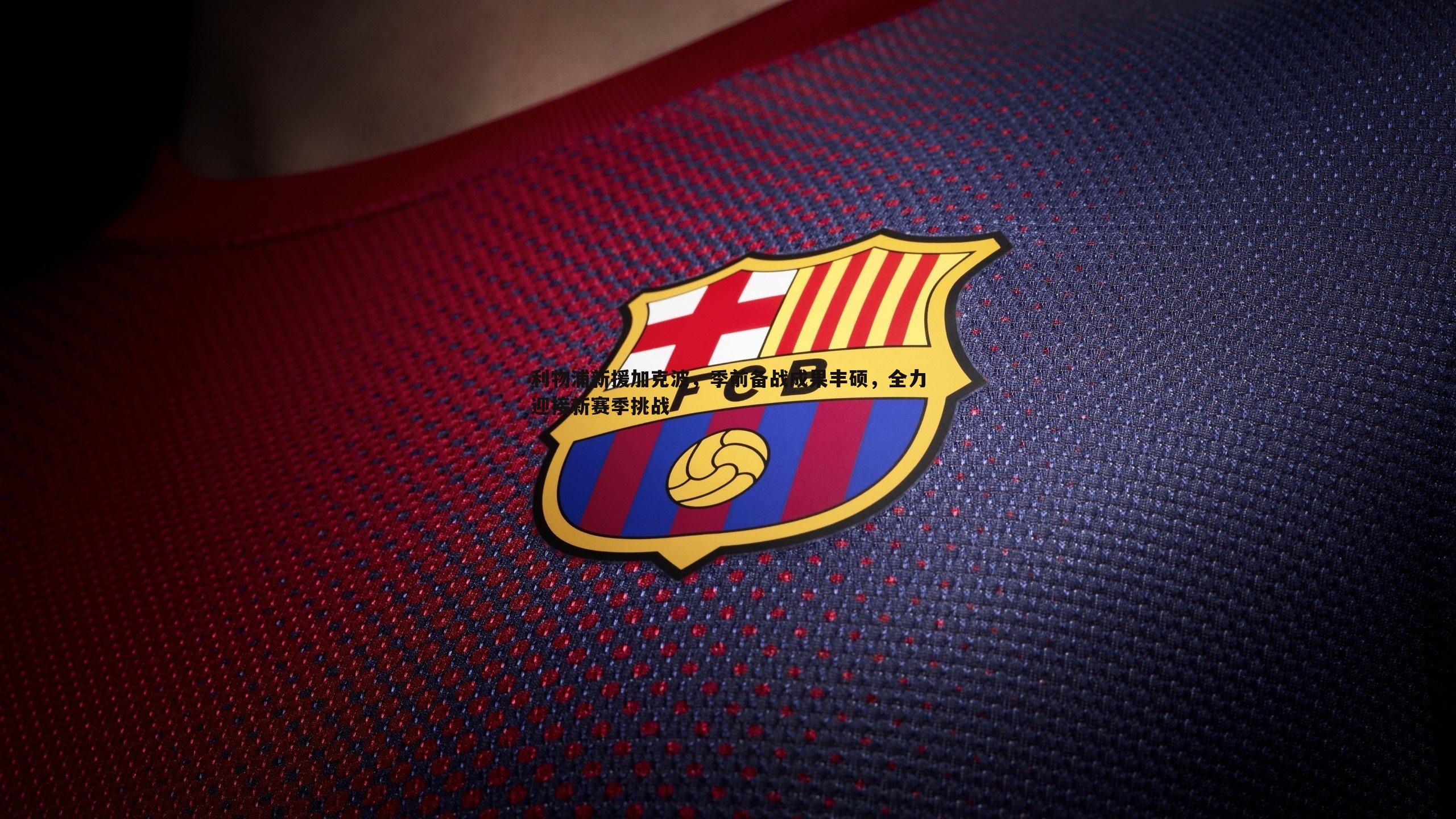 利物浦新援加克波,季前备战成果丰硕,全力迎接新赛季挑战